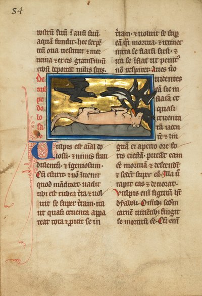 Birds on a Dead Fox by Unbekannt Unbekannt